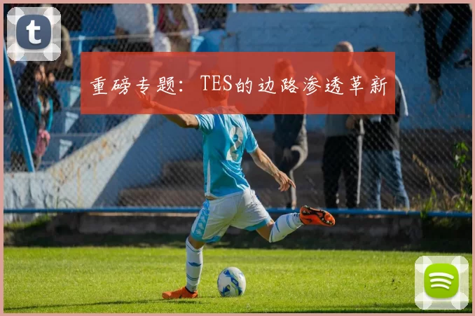 重磅专题：TES的边路渗透革新