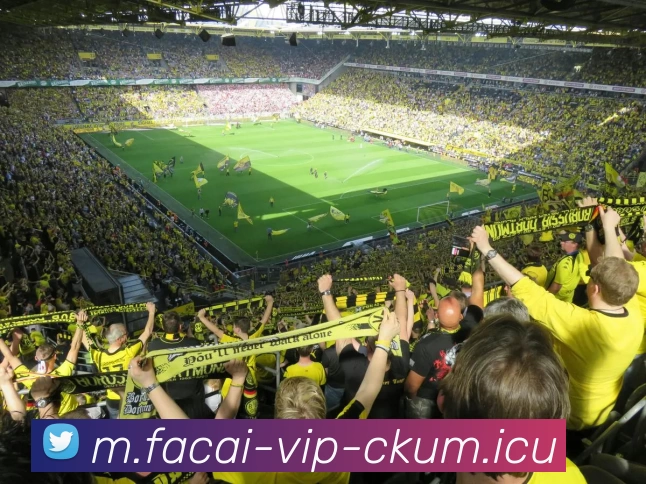 华体会体育注册发展历程