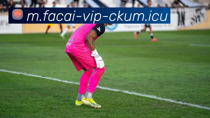 城市联赛特别报道：杭州乒乓球队如何逆袭夺冠的精彩历程与背后故事